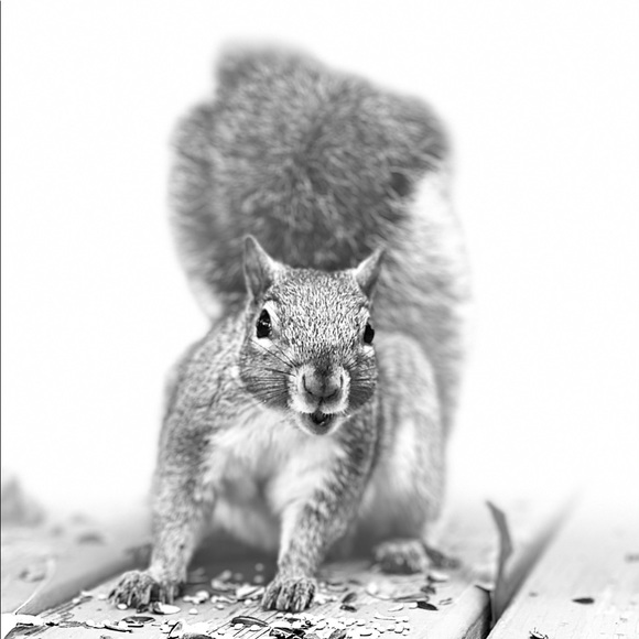 Meet Diana - Hunter & Gatherer of Retro Jewelry, Fashion & Decor - Picture 3 of 6